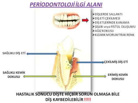 periodontology